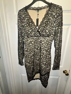 Black Lace Overlay V-Neck Long Sleeve Dress